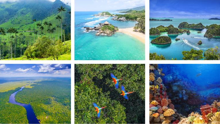 nature and paysages en Colombie